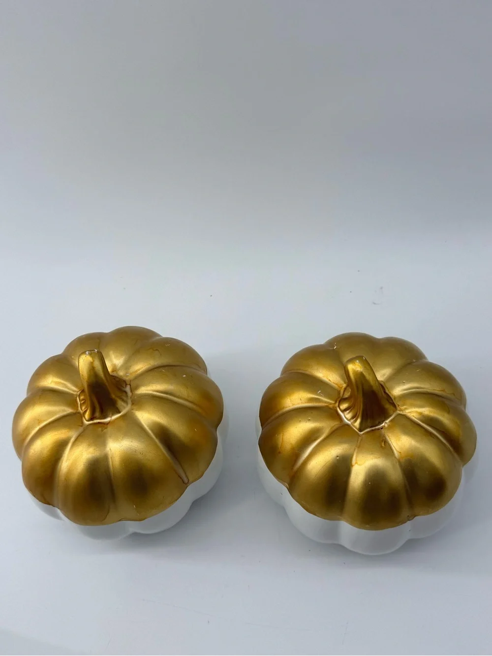 Home Accents Gold and White Pumpkin Pair Decorative Accents